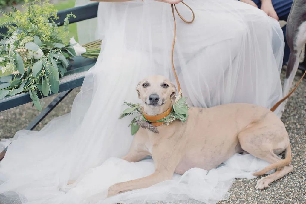 Drew&Richard-HiRes481