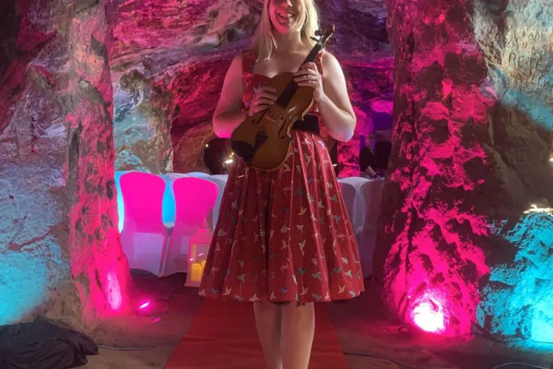 Acoustic & Electric Violinist: Reception Drinks