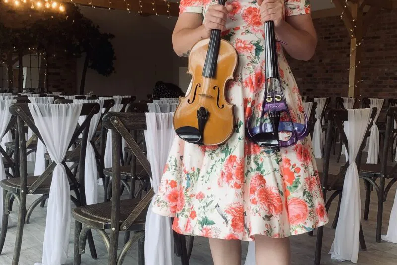 Acoustic & Electric Violinist: Reception Drinks
