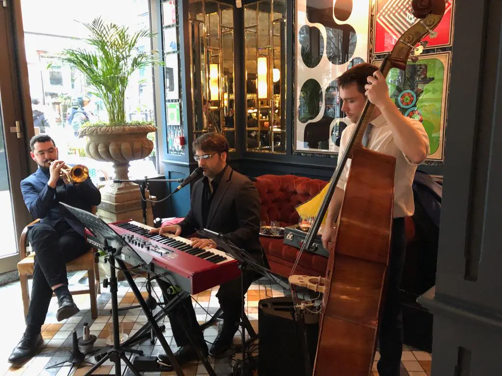 dan-trio-ivy-copy-copy