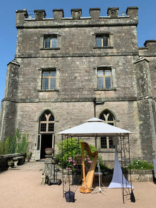 Gig photo 2 (listing)