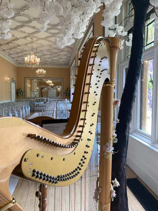 Gig photo (listing)