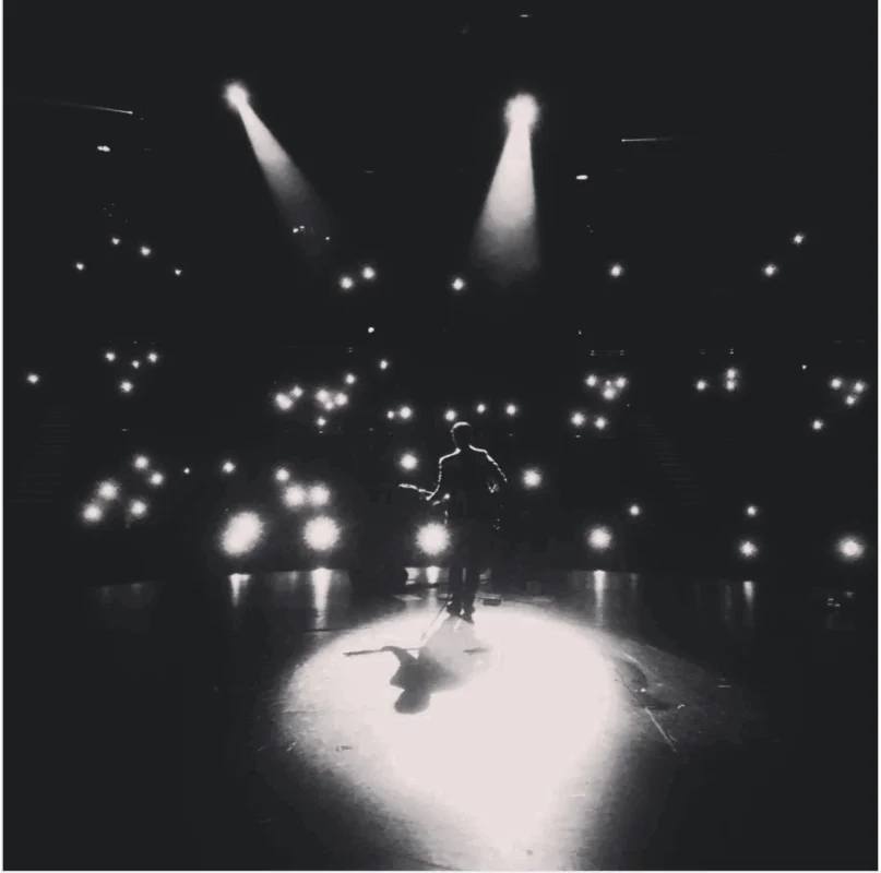 Crowd lights (listing)