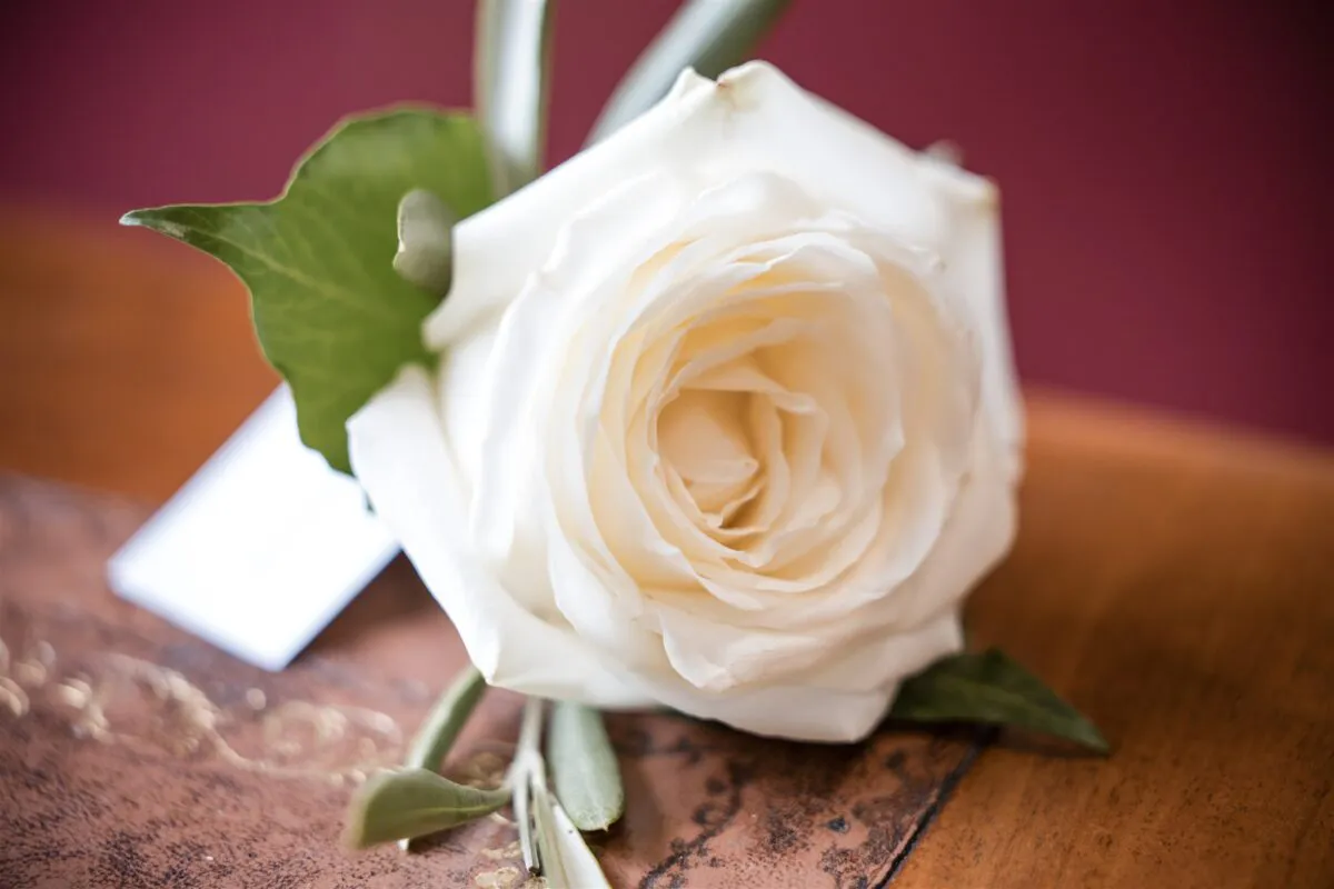 Intimate ceremony at Salisbury Registrar Office