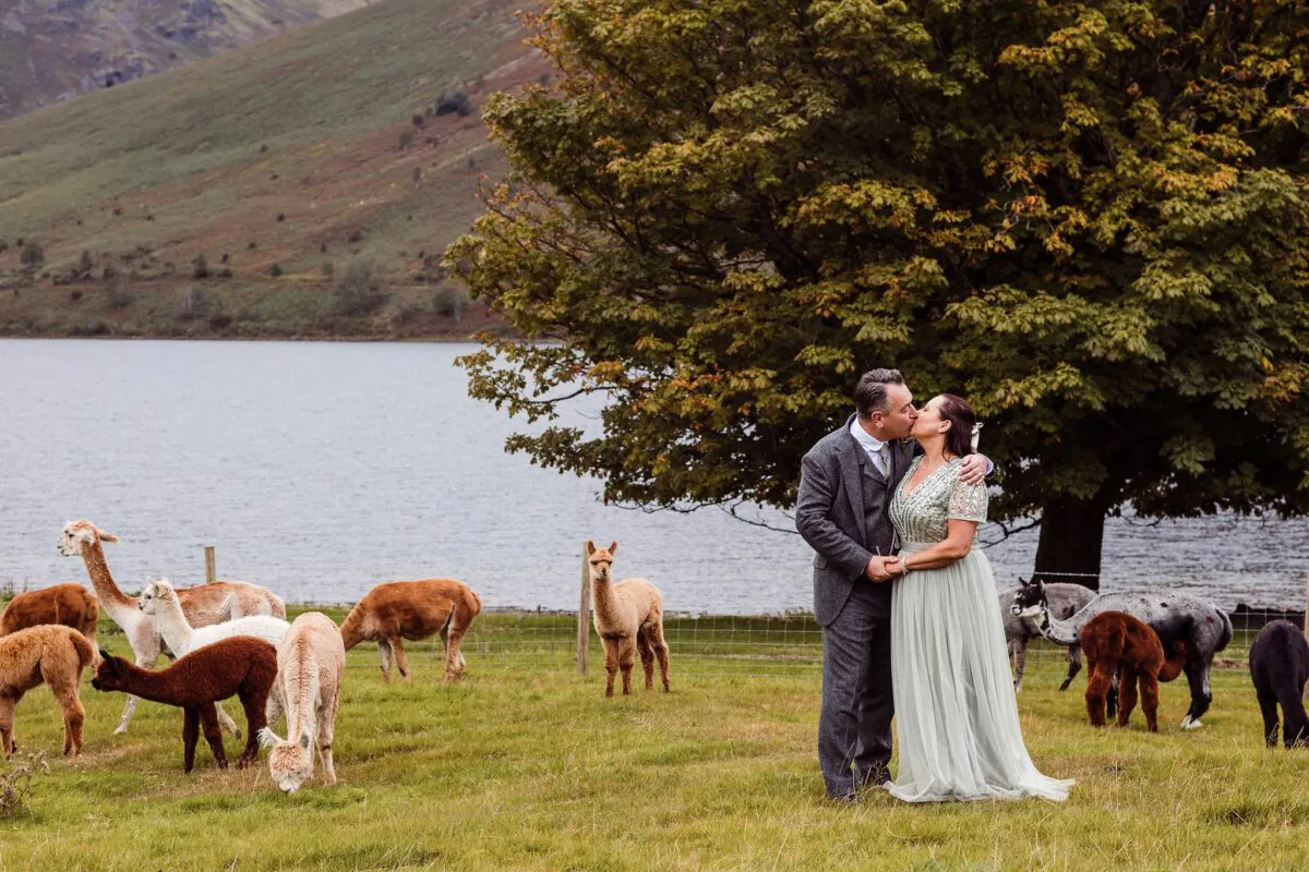 Martin-and-Jo-Wedding-Story-271 (listing)