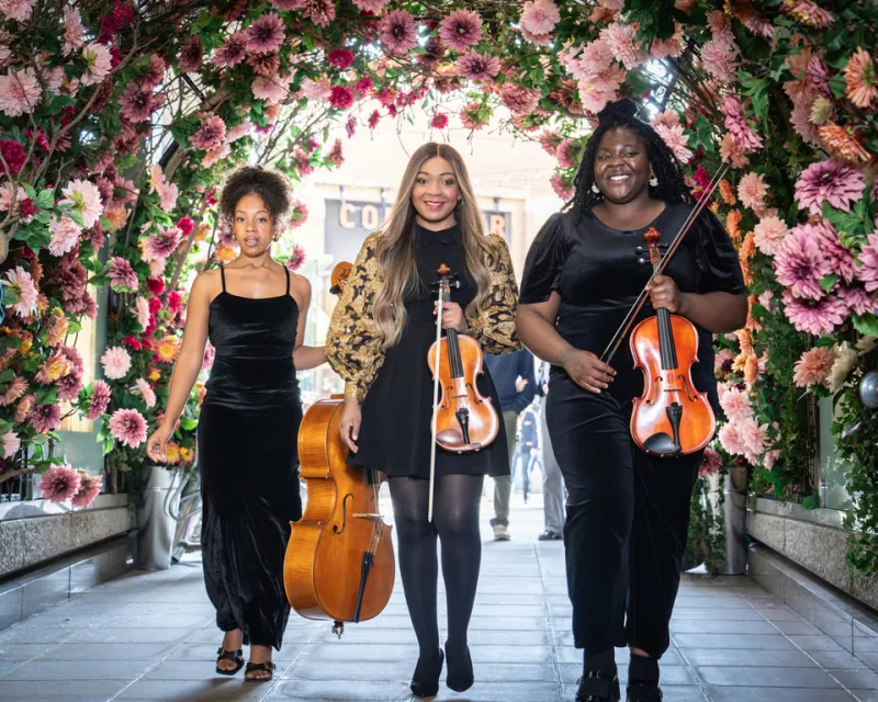soulful_strings__50
