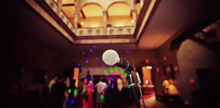 mic