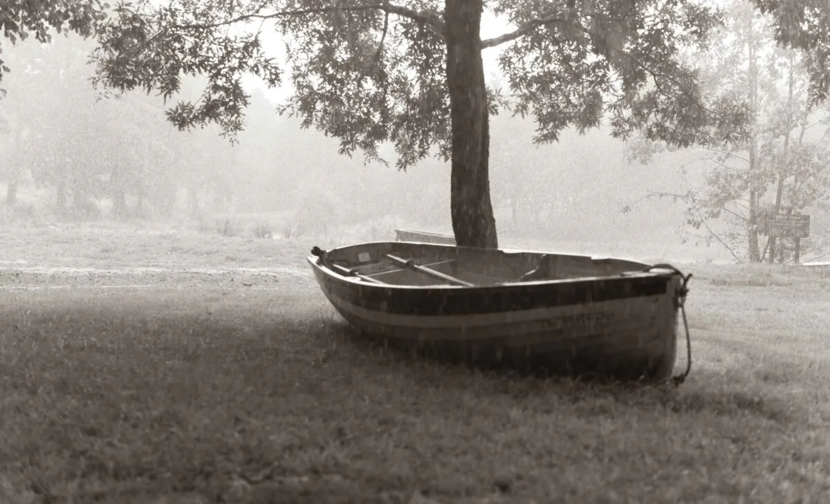 A vintage rowboat rests on the grassy shore beneath a large oak tree during a moody, misty rainy day wedding.