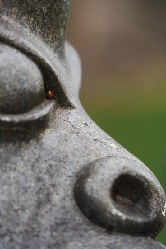 A tiny ladybird rests in the corner of a carved stone statue's eye, captured in a close-up macro shot with a blurred green background.
