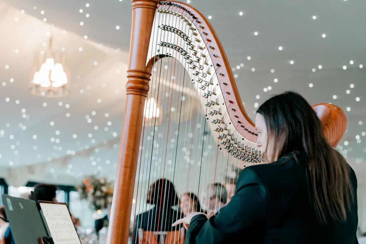 A professional harpist playing a large wooden harp during a wedding celebration beneath a sparkling fairy light canopy.