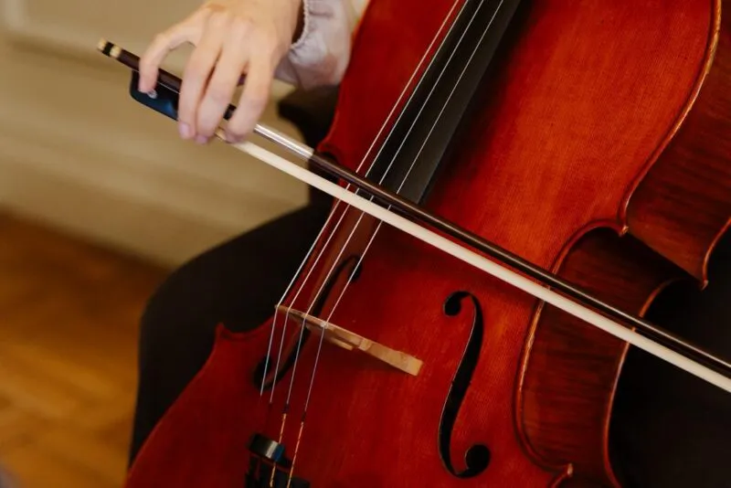 cello photo 2 (listing)