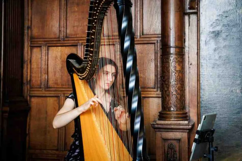 Professional Harpist for Wedding Ceremony, Reception and Evening Meal