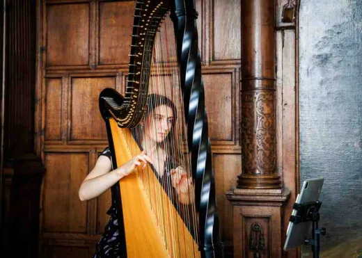 Professional Harpist for Wedding Ceremony, Reception and Evening Meal
