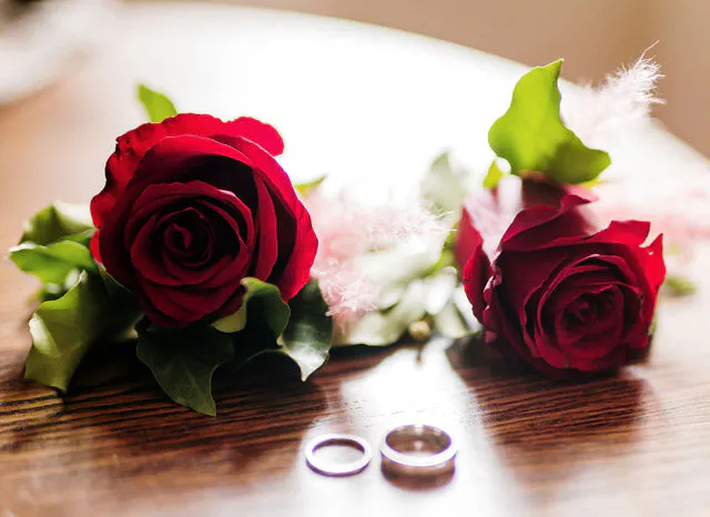 Alex +Jenna Wedding