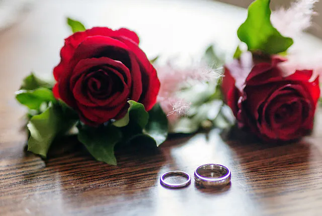 Alex +Jenna Wedding