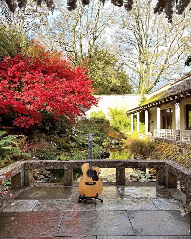 David Williams Guitarist Matara centre-2