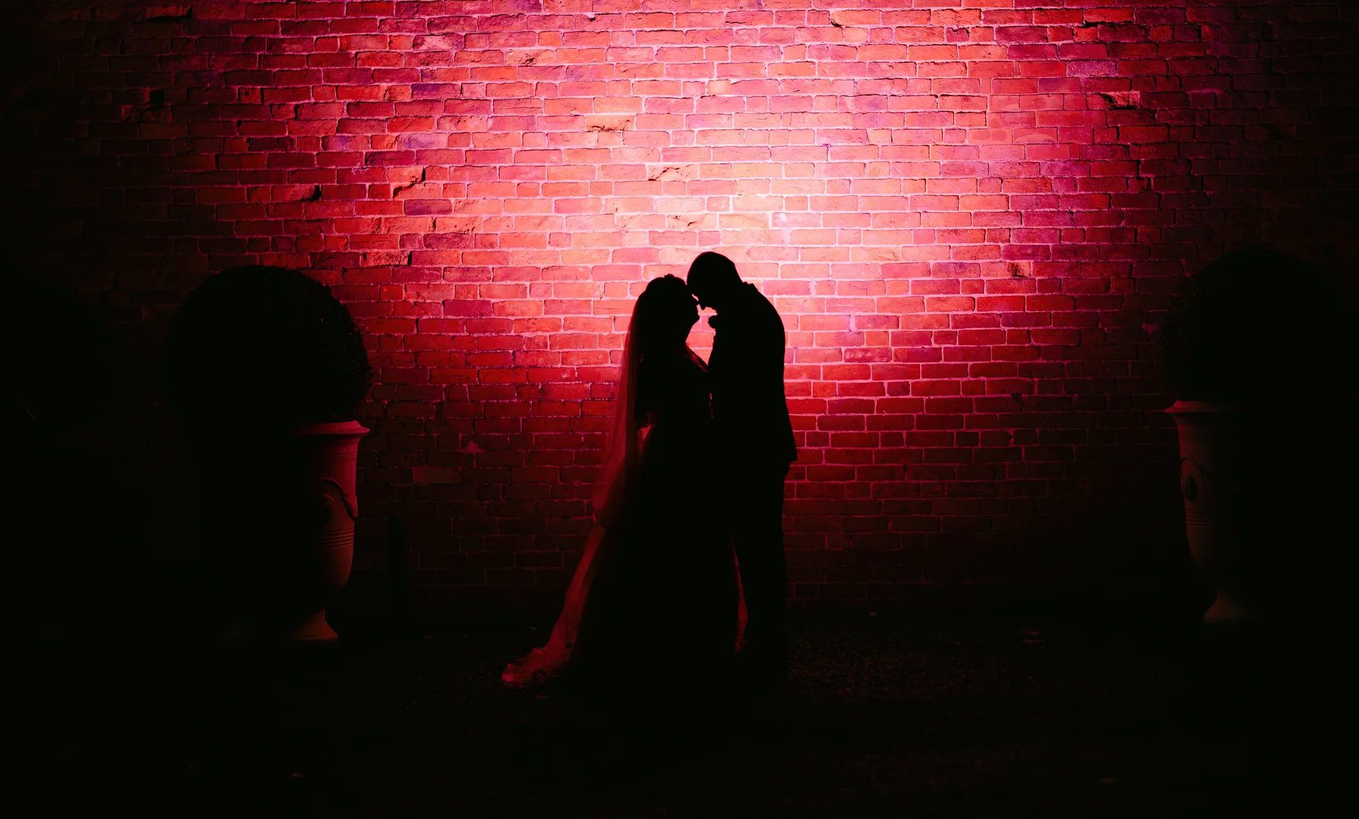 A dramatic silhouette of the bride and groom stands closely together against an exposed brick wall illuminated by vibrant pink spotlighting at night.