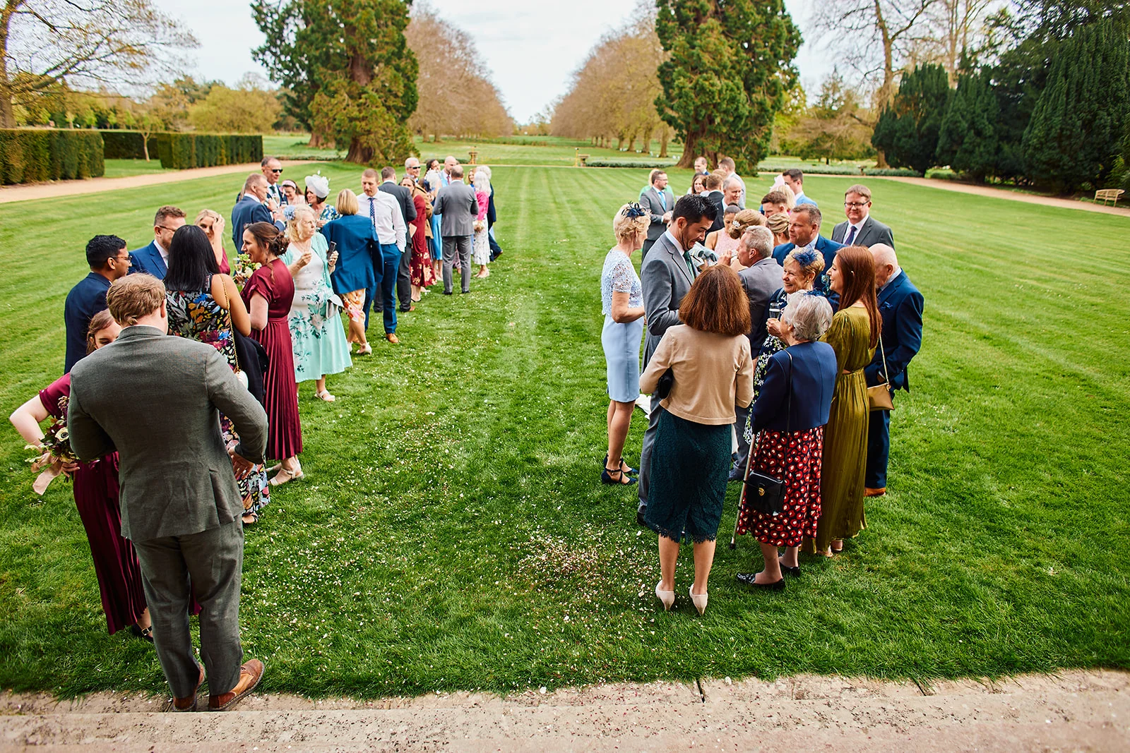 Wedding guests mingle and chat on a vast manicured lawn framed by a striking tree-lined avenue during an outdoor summer drinks reception.