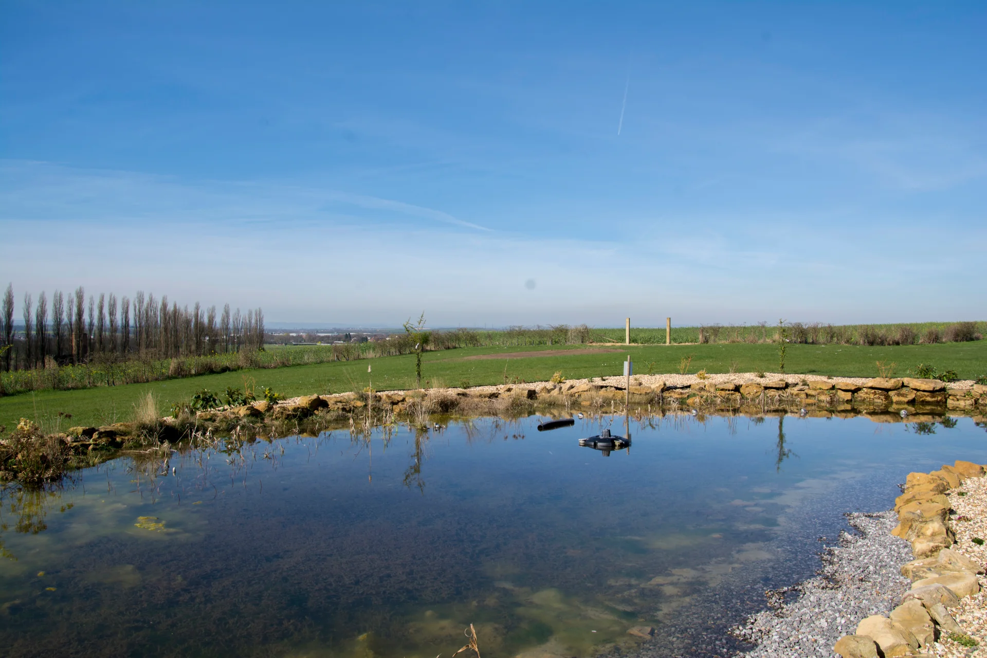 A serene lakeside setting under a clear blue sky on a bright sunny day.