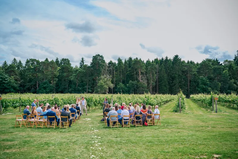 Micro Wedding - 1 Hour of Natural Wedding Photography
