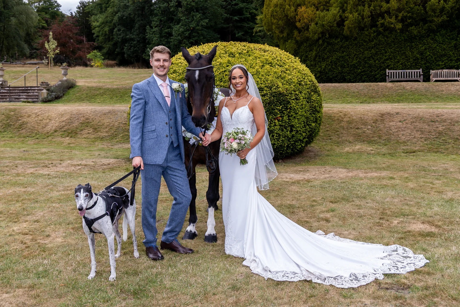A newlywed couple poses outdoors on a manicured lawn with their greyhound on a leash and a dark horse adorned with a floral collar.