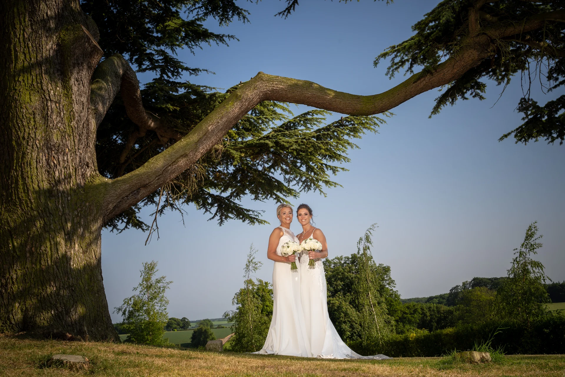 Two smiling brides stand side by side holding bouquets beneath the grand spreading branches of an ancient tree overlooking a scenic rural landscape.