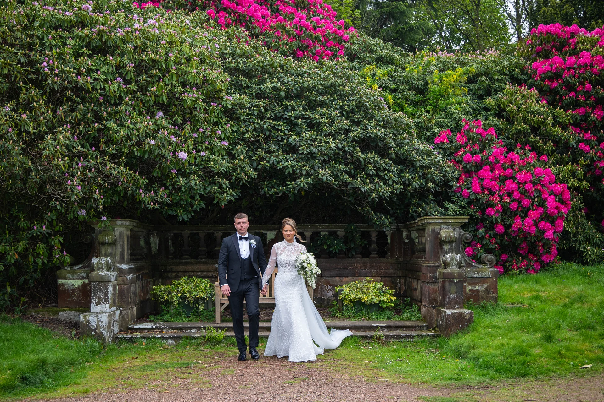 A newlywed couple walks hand in hand through a lush garden with vibrant pink rhododendron bushes in full bloom.