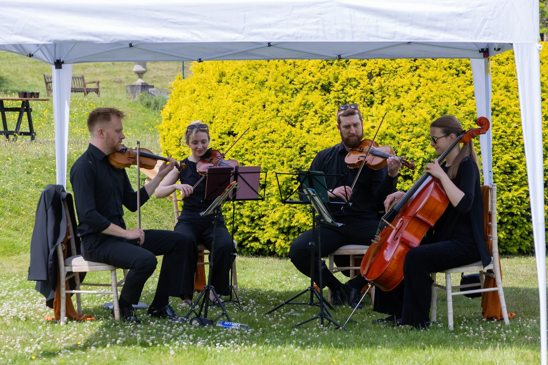 A string quartet dressed in black performs under a white marquee tent outdoors on a lush green lawn during a sunny wedding reception.