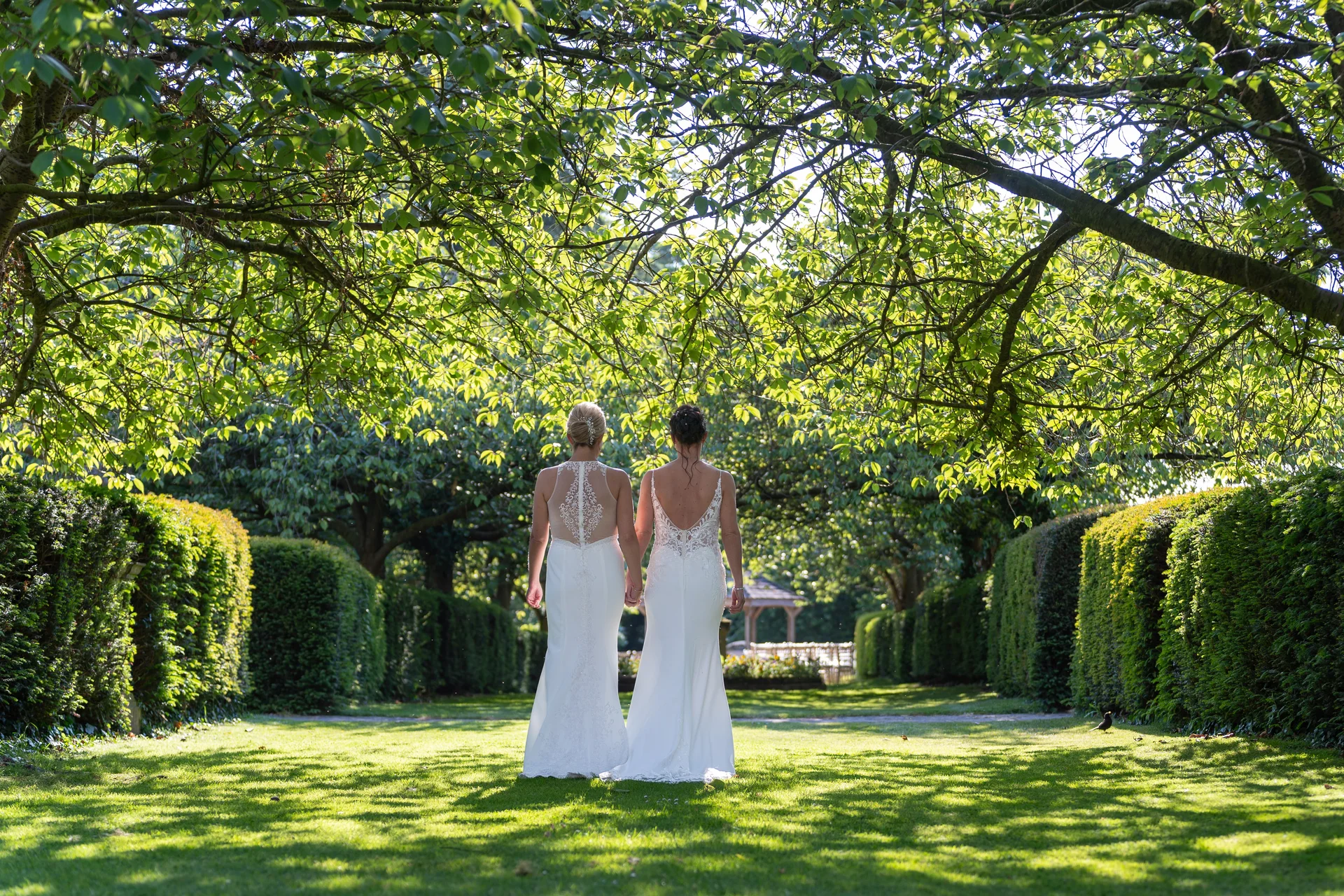 Two brides in elegant white wedding dresses walk hand in hand down a sunlit garden path framed by lush trees and manicured hedges.