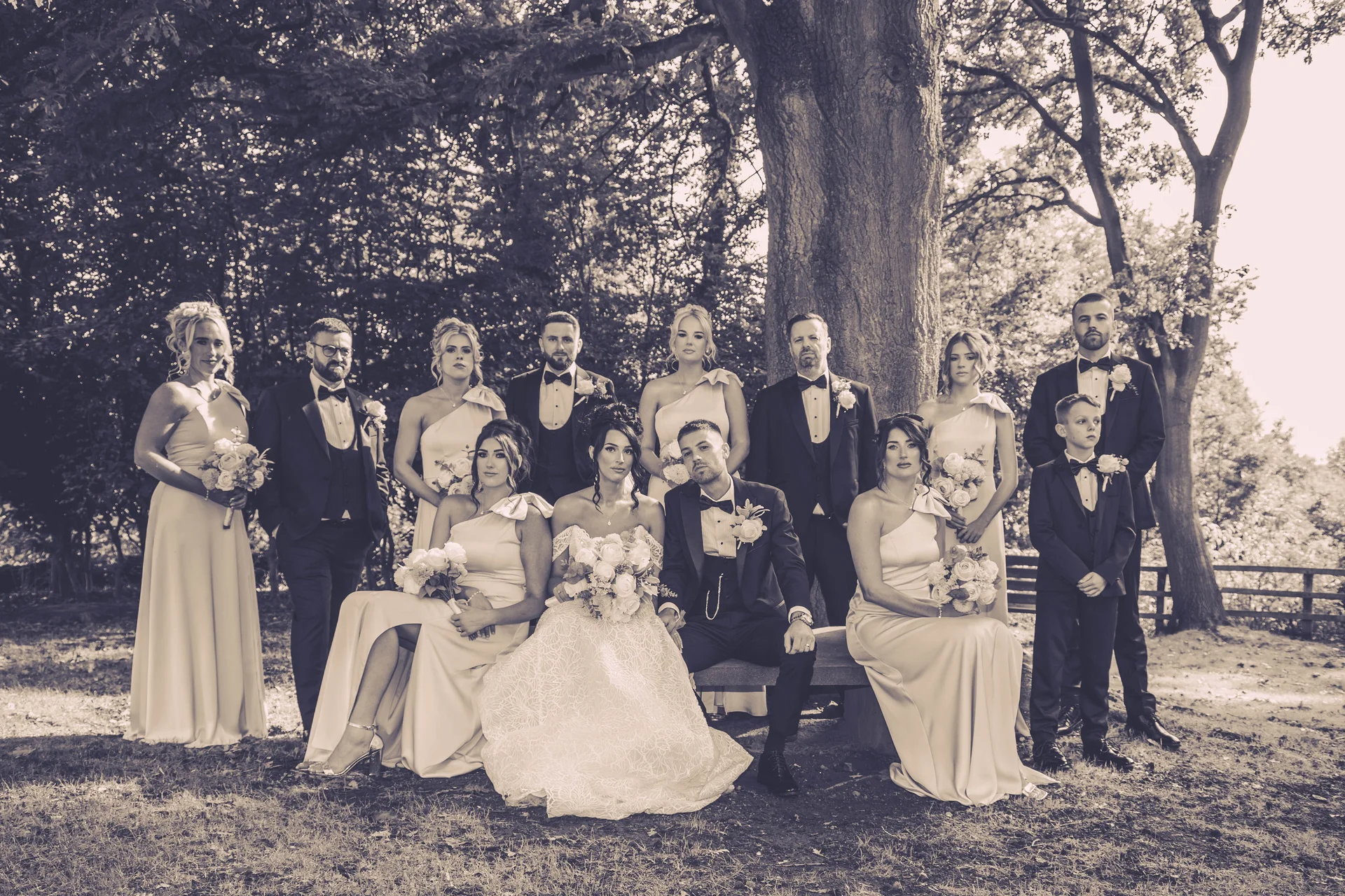 A large wedding party poses outdoors beneath the branches of an ancient oak tree in a formal group portrait with a sepia-toned finish.