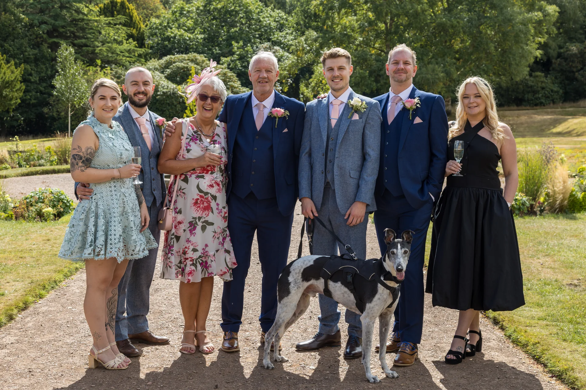 A happy wedding group and a harnessed greyhound pose together on a sunlit gravel path in a lush garden setting.
