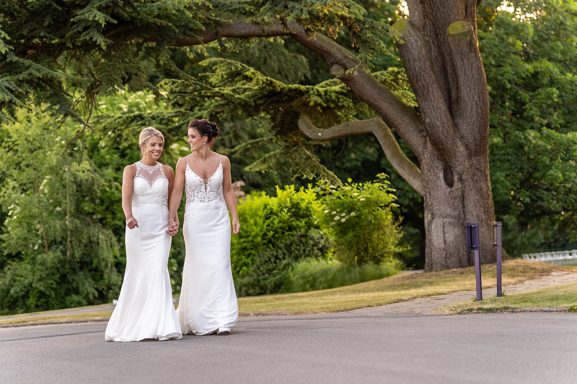 Two smiling brides in white wedding dresses walk hand in hand along a path beneath the spreading branches of an ancient tree during golden hour.