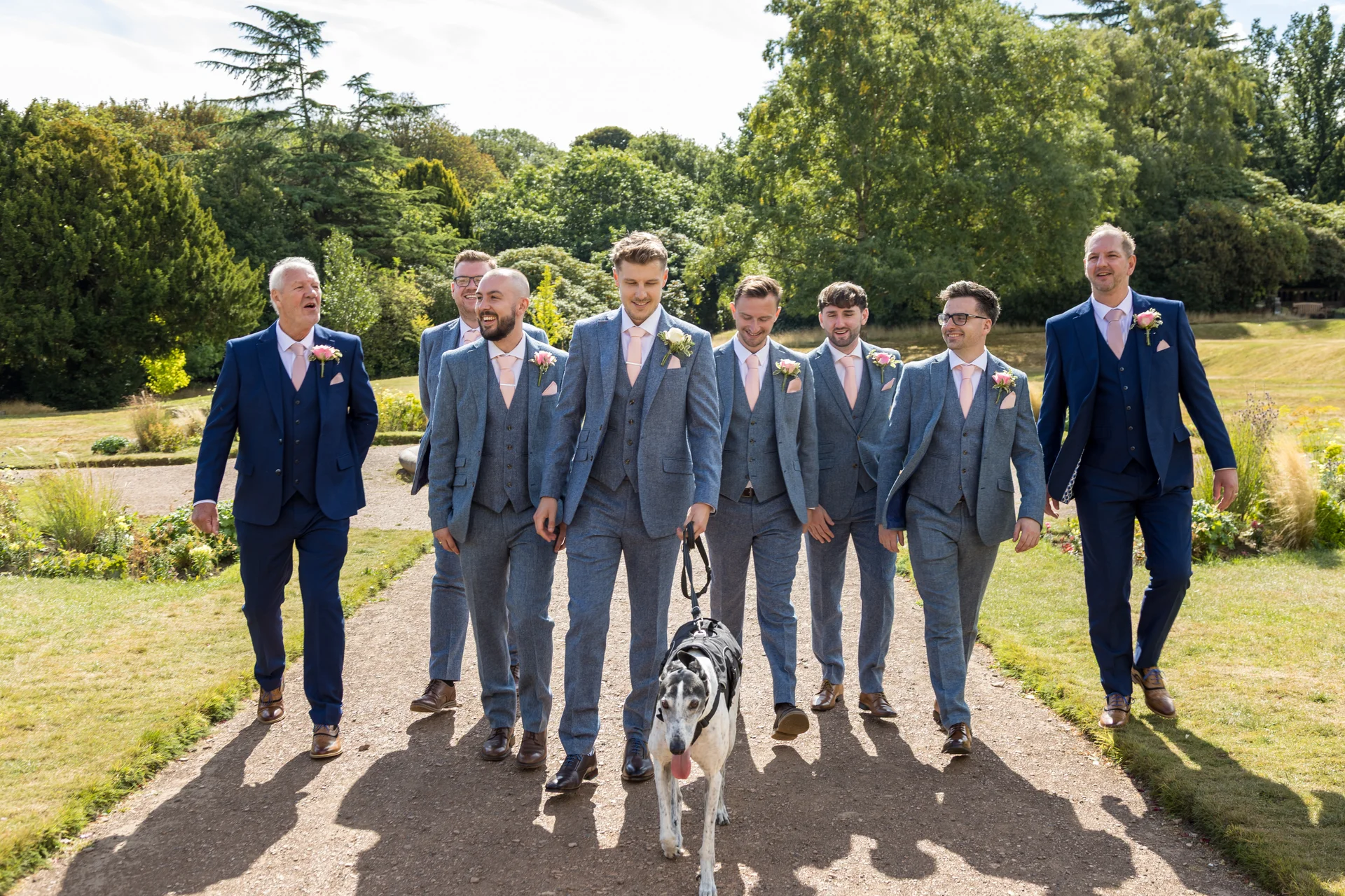 The groom and his groomsmen laughing and walking together along a garden path, accompanied by a dog wearing a floral collar.