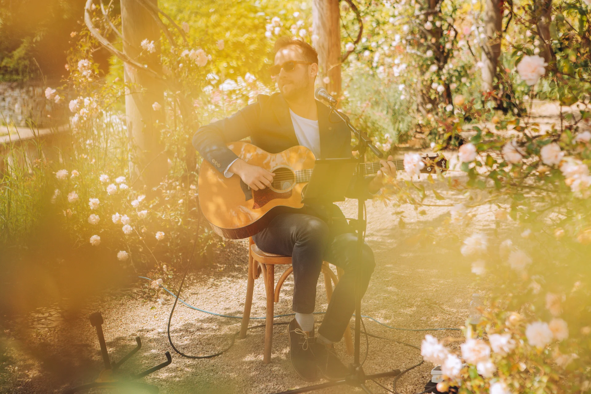 An acoustic singer and guitarist performs outdoors in a sunlit garden, surrounded by blooming rose bushes and warm golden light.