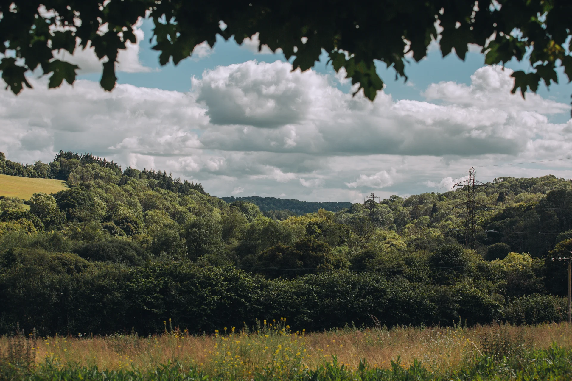 A scenic landscape view of lush rolling hills and a cloudy blue sky framed by tree foliage from above.
