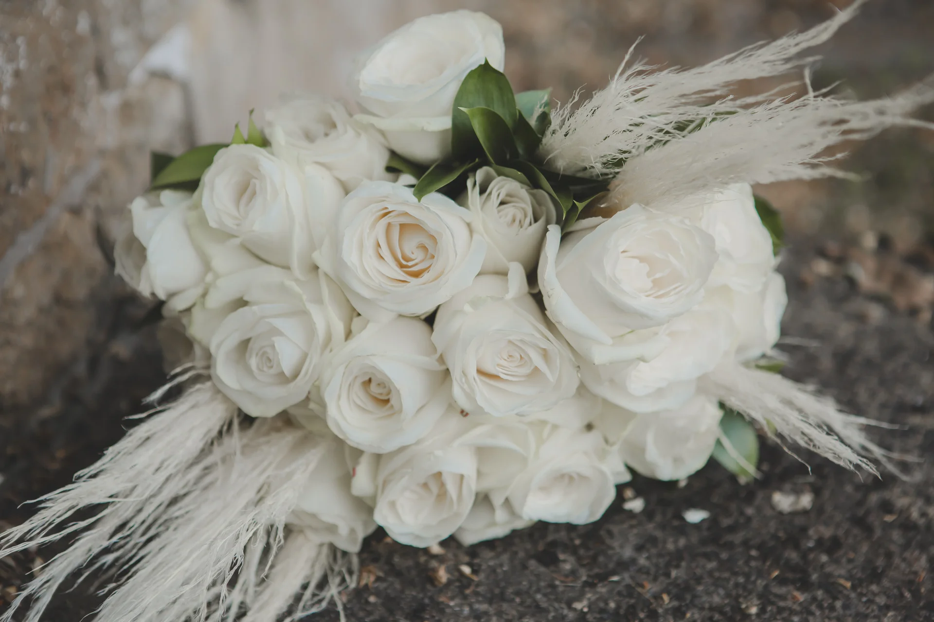 A stunning hand-tied bridal bouquet featuring pristine white roses accented with delicate pampas grass resting on a rustic surface.