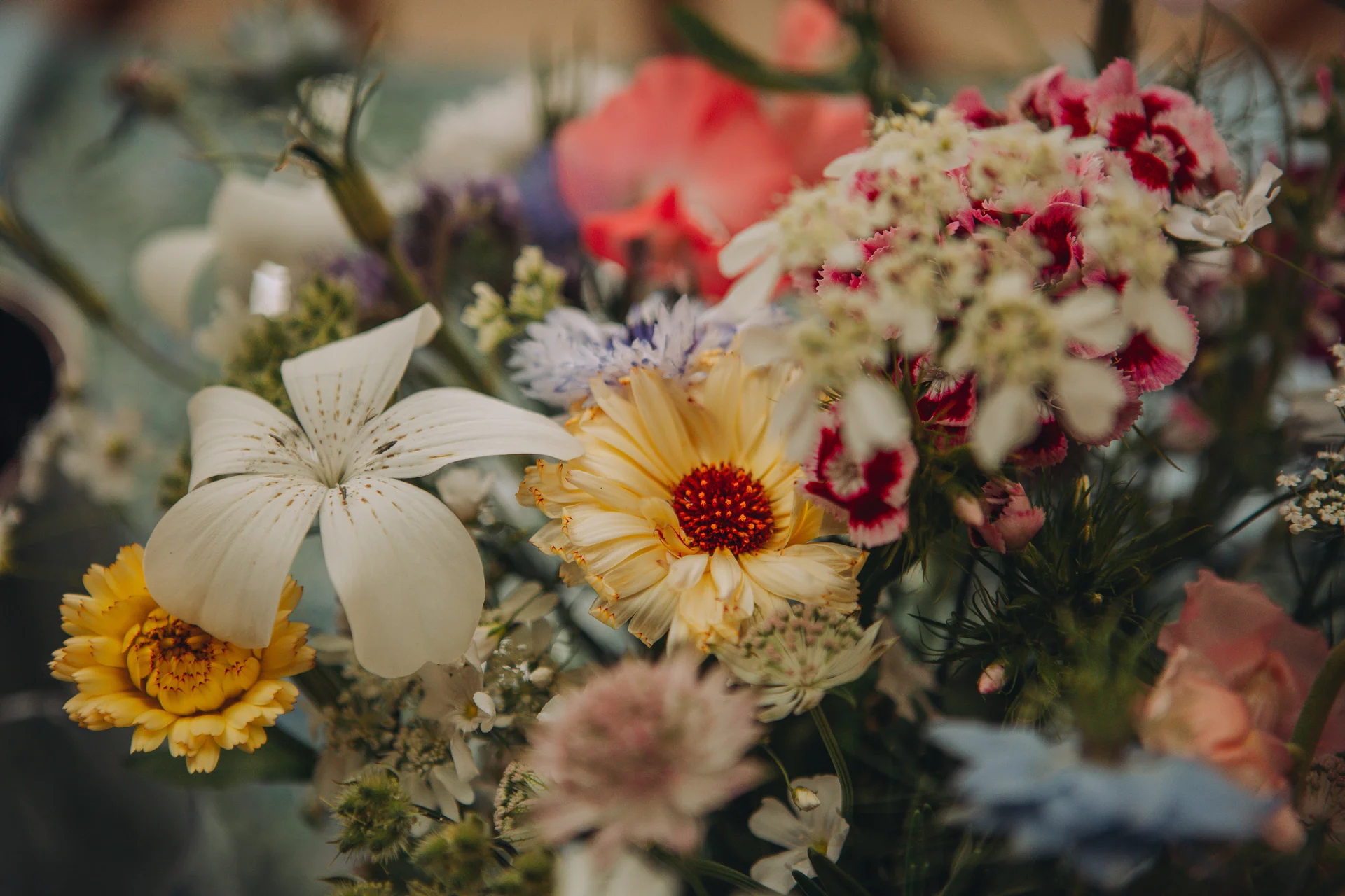 A close up macro shot of a colourful wedding wildflower bouquet featuring yellow, white, and pink blooms with a warm toned edit.