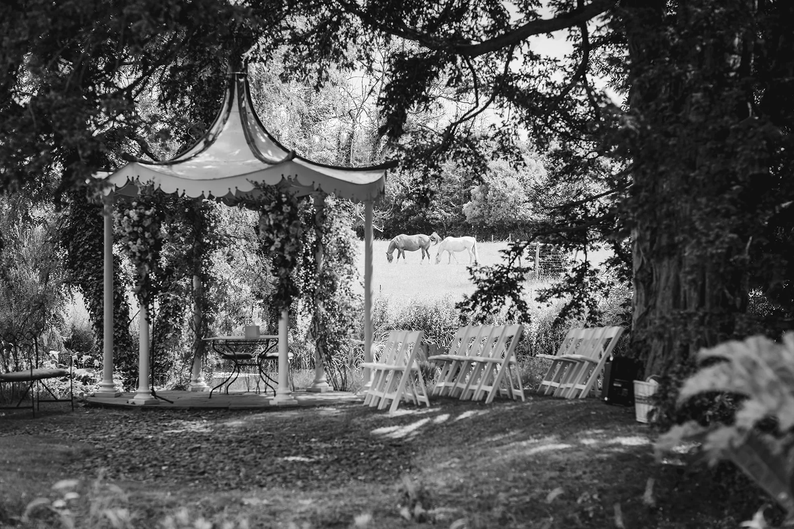 An outdoor wedding ceremony setup featuring a decorative gazebo draped in florals, lined with white folding chairs, and overlooking a sunlit meadow with horses grazing in the background, all captured in a serene black and white edit.