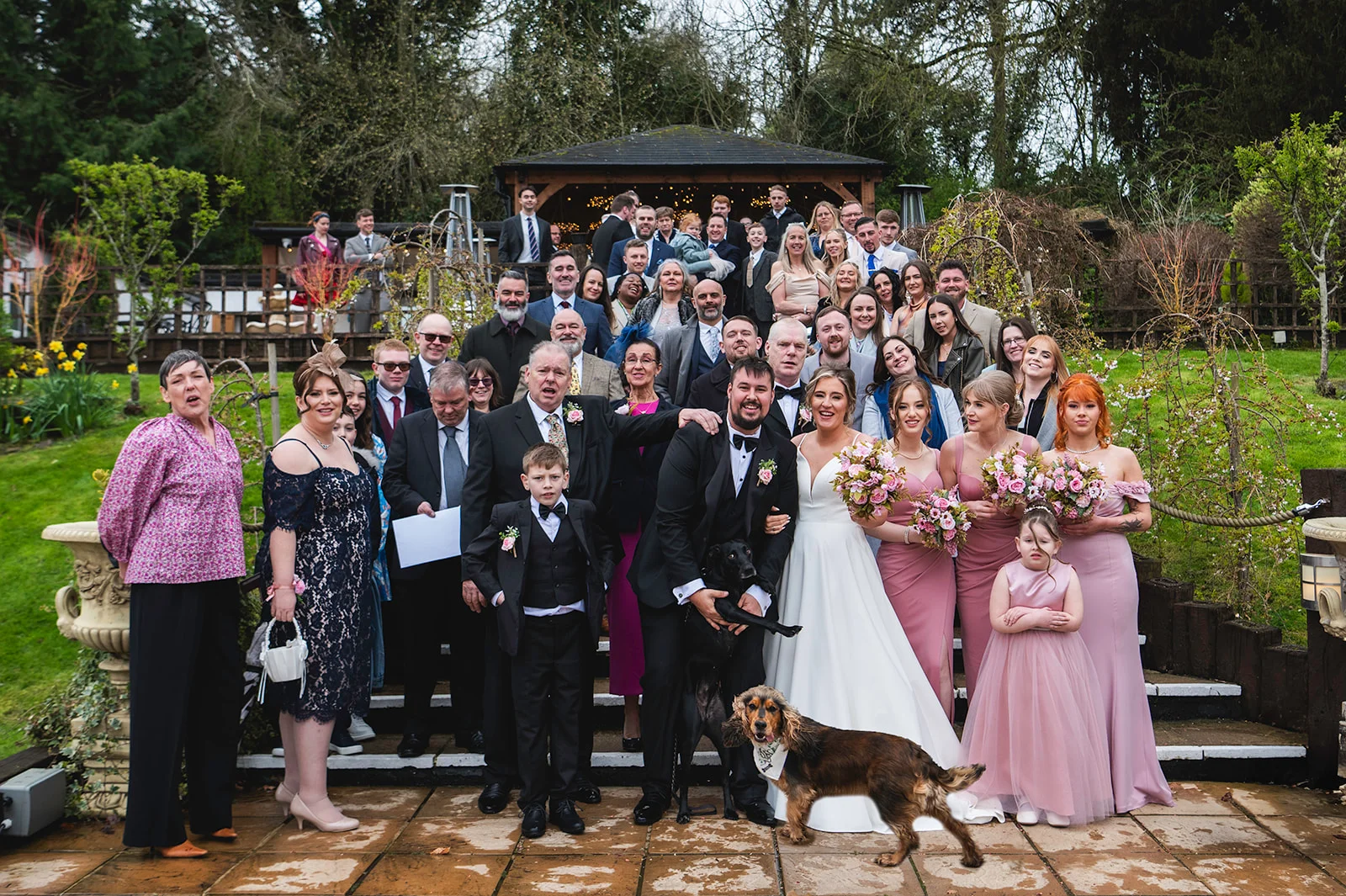 A large wedding party and family group pose on stone steps outside a garden gazebo, featuring the bride in a white gown and groom in a black tuxedo alongside bridesmaids in pink dresses and two dogs.