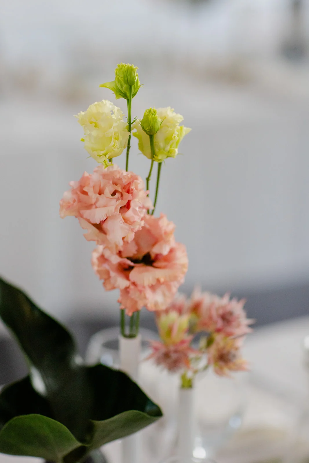 Delicate peach and yellow lisianthus flowers are arranged in minimalist bud vases as part of a wedding reception tablescape.