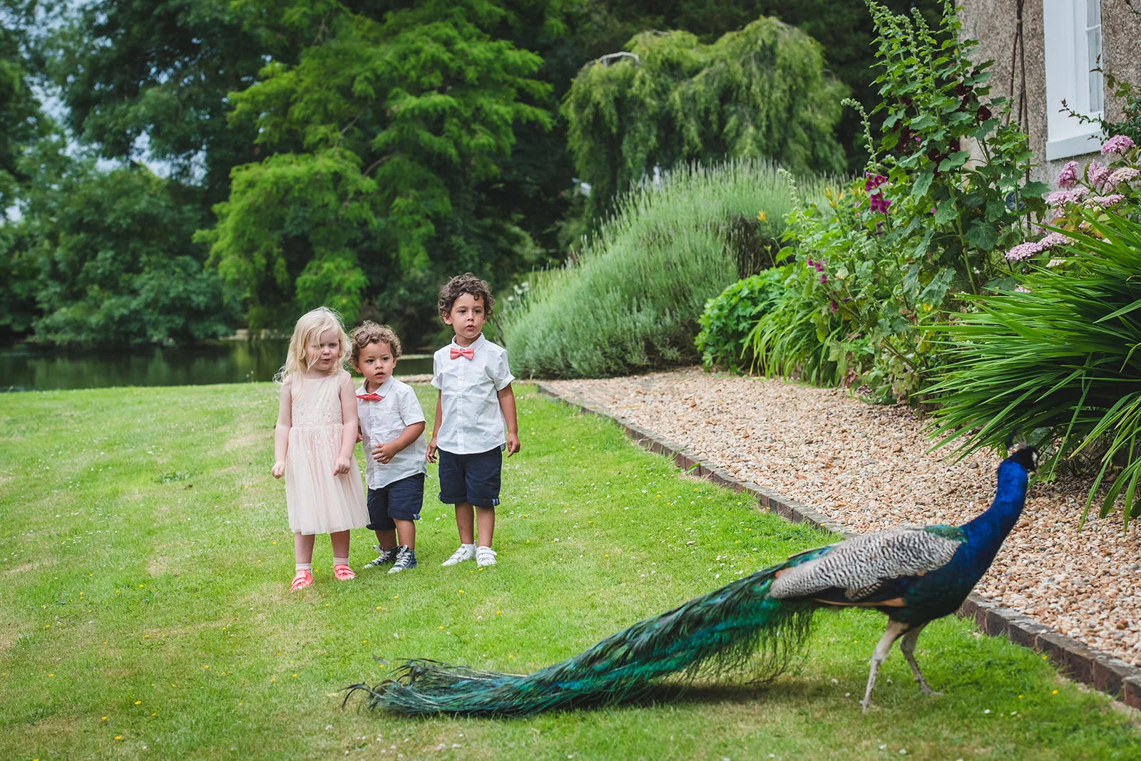 Three young children stand in a lush garden by a lake, looking curiously at a vibrant peacock roaming on the grass.