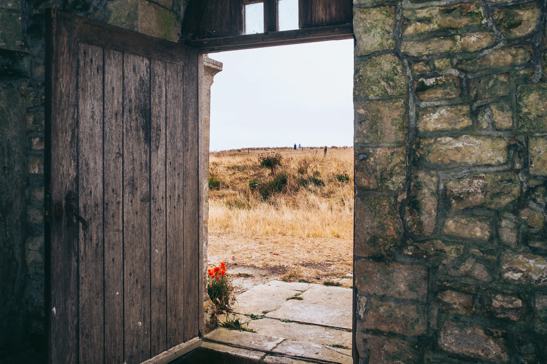 An open wooden door framed by a rugged stone wall reveals a wide grassy landscape under an overcast sky.