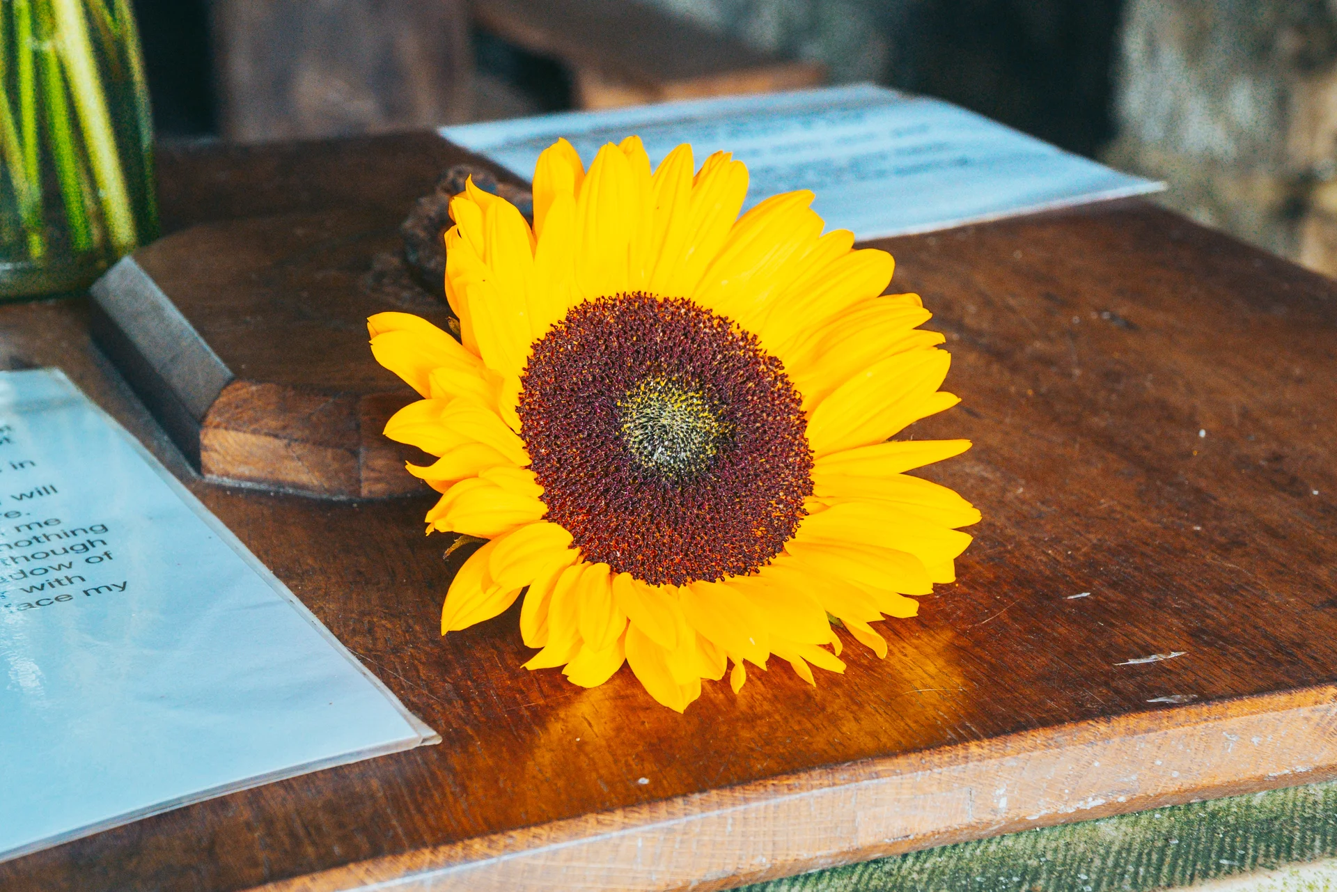 A single vibrant sunflower rests on a dark wooden surface alongside printed stationery at a wedding venue.