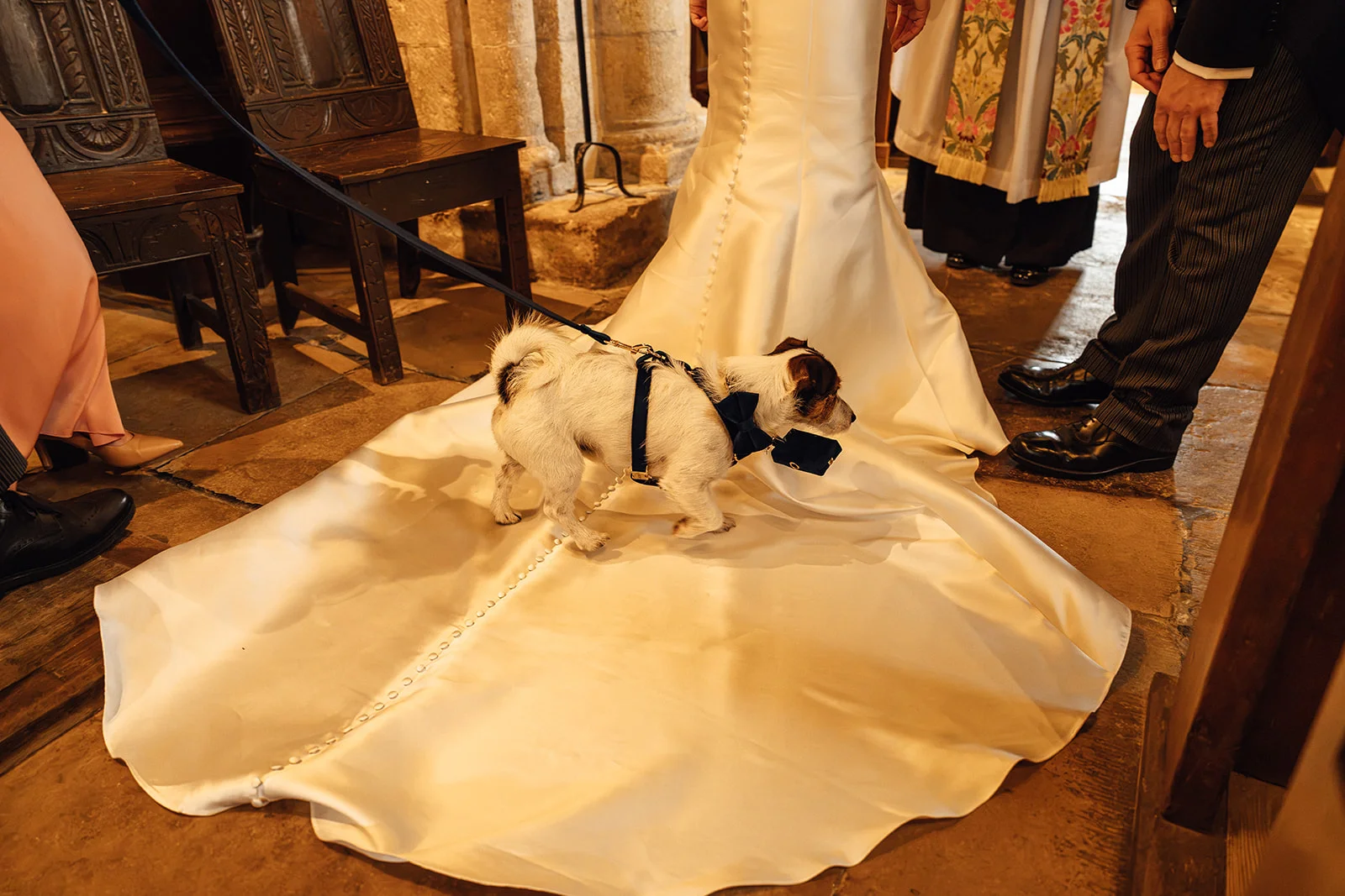 A small dog wearing a bow tie stands on the satin train of a bride's wedding dress inside a stone church.