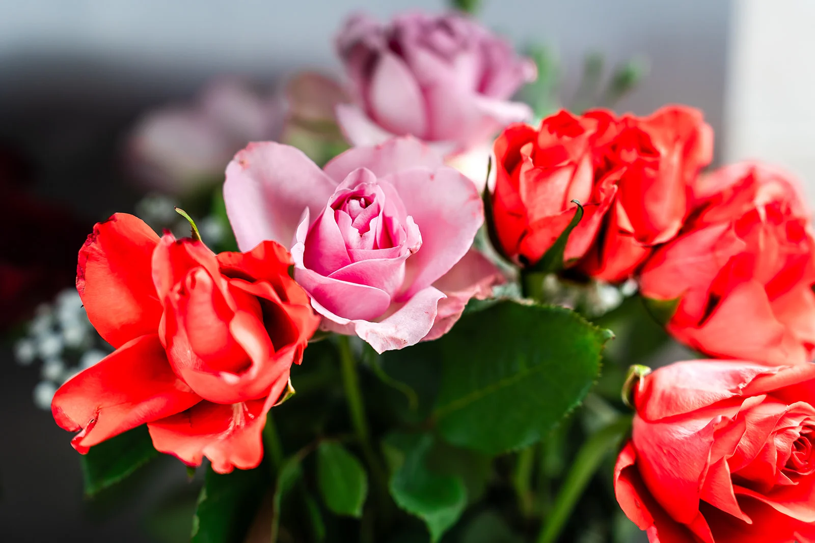 A close-up shot of a vibrant wedding bouquet featuring a mix of bright red, coral, and soft pink roses surrounded by green foliage.