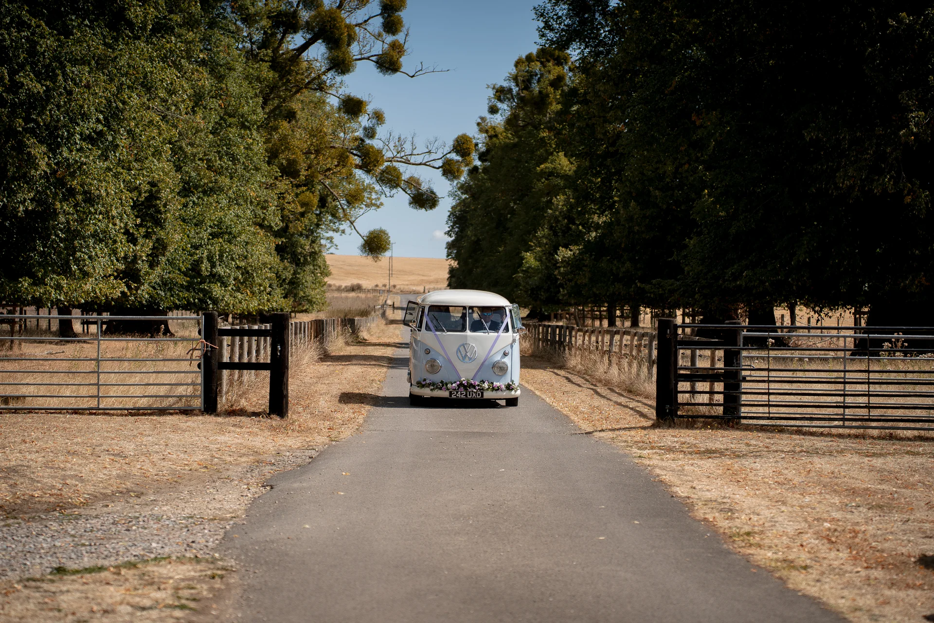 A vintage two-tone VW campervan adorned with ribbon and floral decor drives down a sunlit, tree-lined country lane between open metal gates.