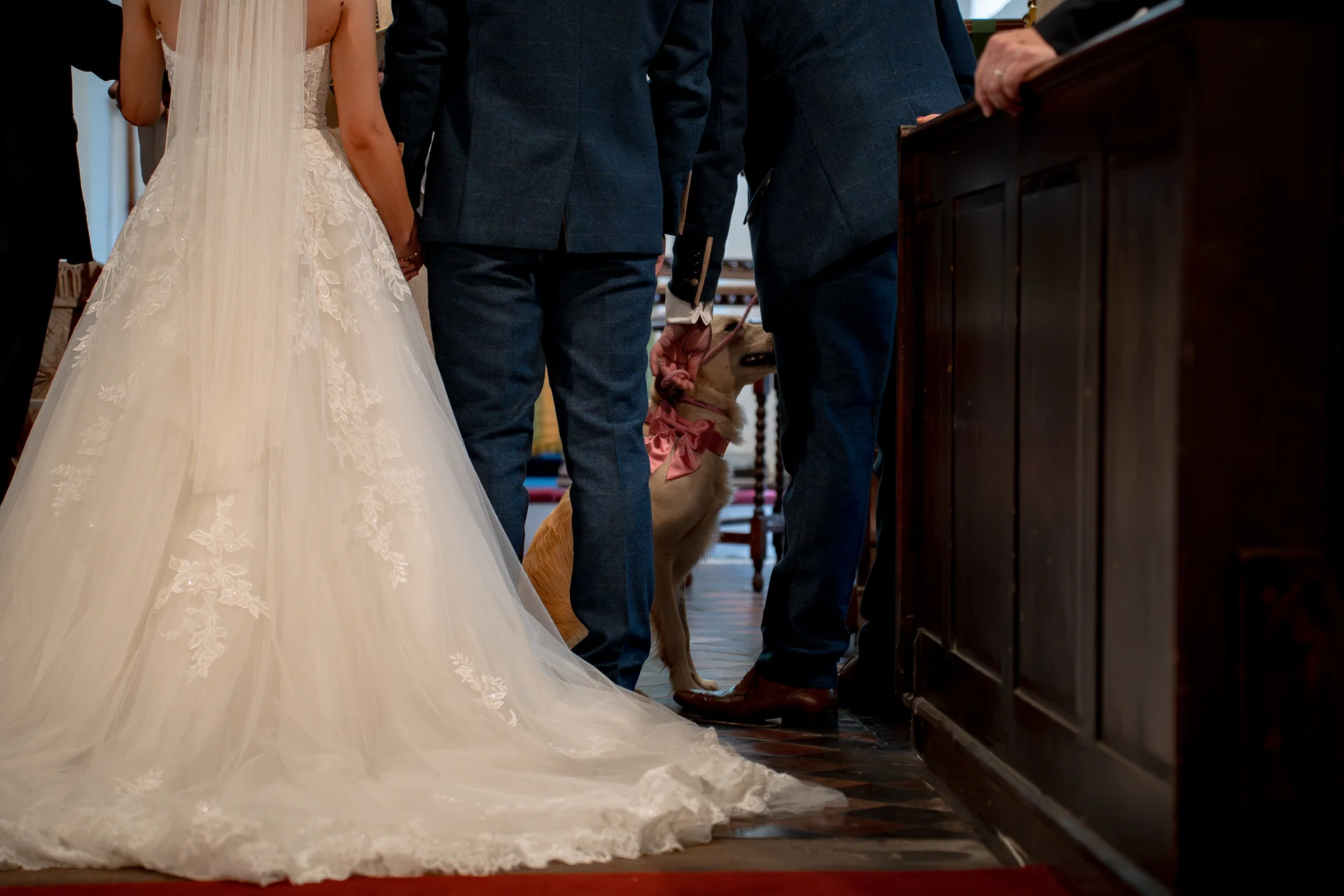A bride in an a-line lace wedding dress and veil stands at the altar alongside a groom in a navy suit, with a golden retriever wearing a pink bow tie sitting between the wedding party members.