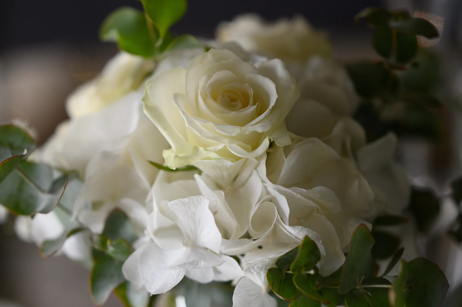 A close up view of an elegant wedding bouquet featuring crisp white roses, delicate hydrangeas, and fresh green eucalyptus foliage.