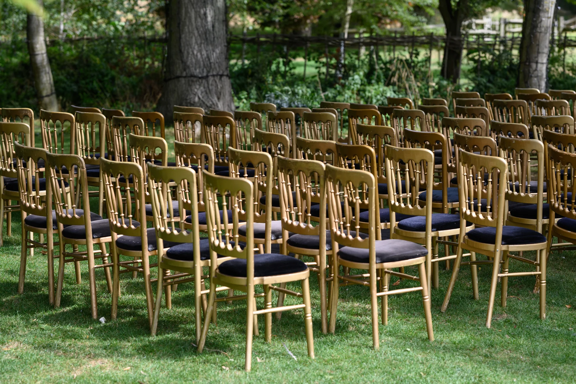 An outdoor wedding ceremony setup features rows of empty gold chairs with dark cushions arranged neatly on a lush green lawn beneath mature trees.